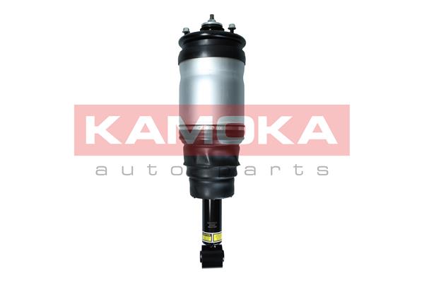 Air Suspension Strut (2070025)