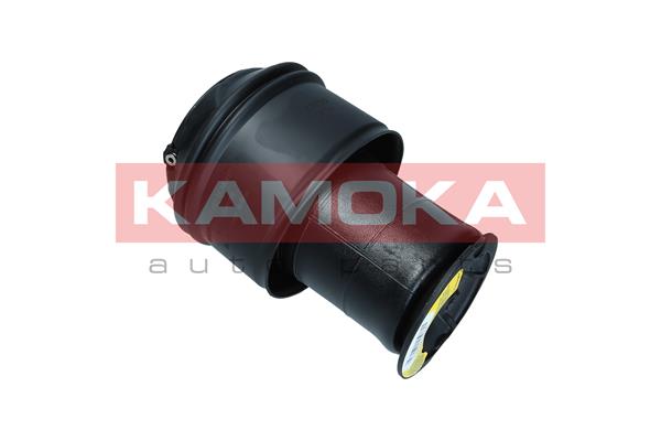 Air Spring, suspension