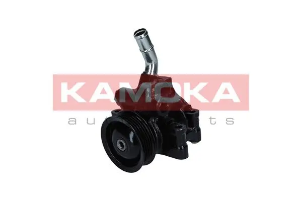 Hydraulic Pump, steering (PP090)