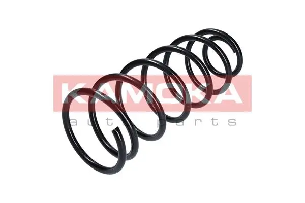 Suspension Spring (2110071)