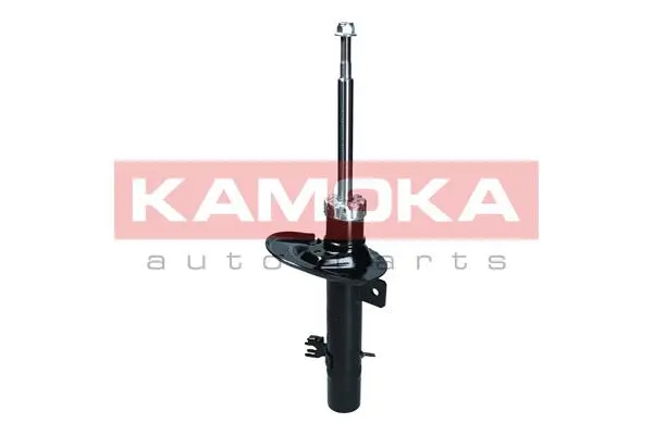 Shock Absorber (2000189)