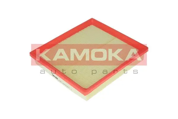 Air Filter (F218201)