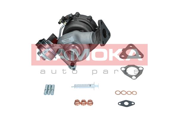 Charger, charging (supercharged/turbocharged) (8600026)