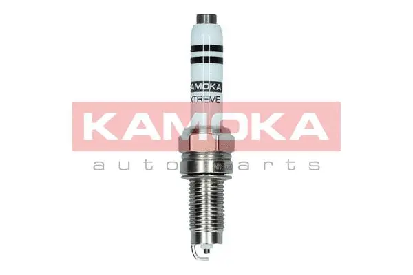 Spark Plug (7090543)