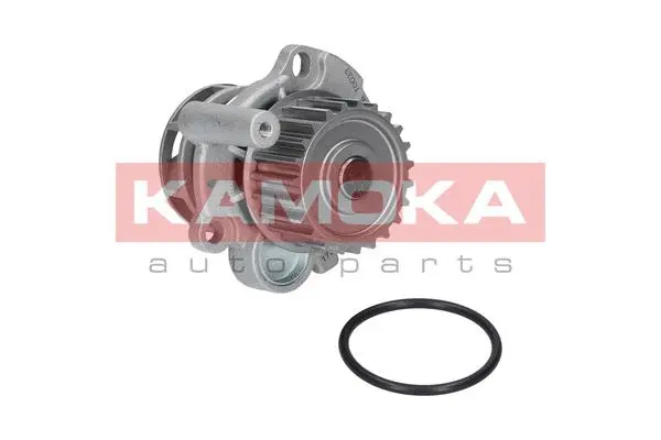 Water Pump, engine cooling (T0033)