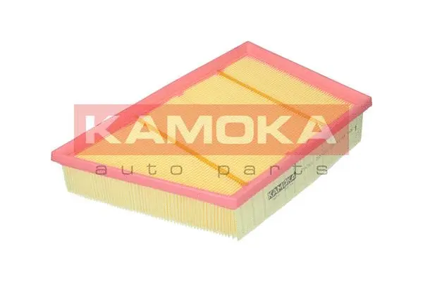 Air Filter (F247901)