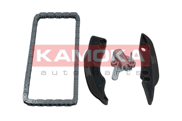 Timing Chain Kit (7001596)