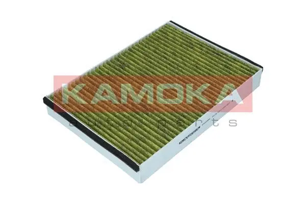 Filter, cabin air (6080050)