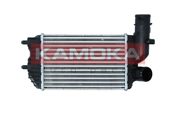 Charge Air Cooler (7750117)