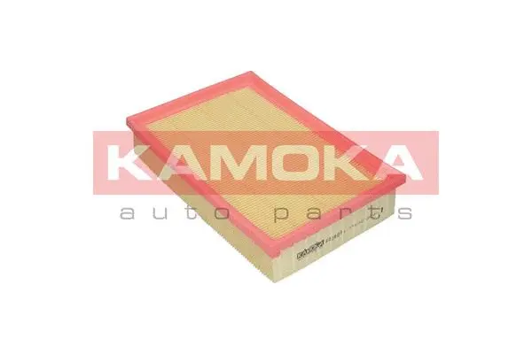 Air Filter (F228001)