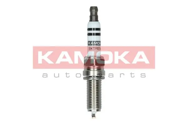 Spark Plug (7090019)
