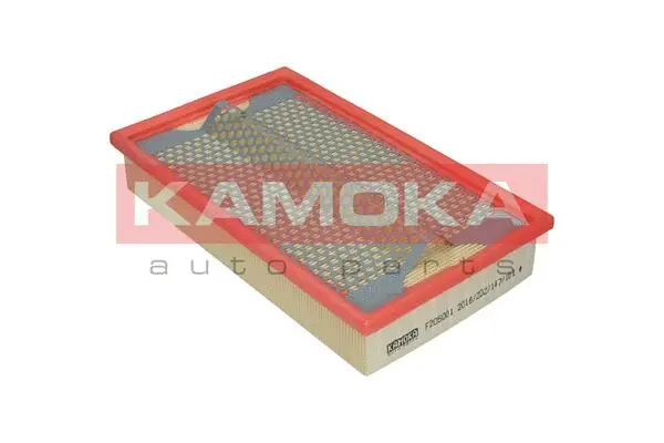 Air Filter (F205001)