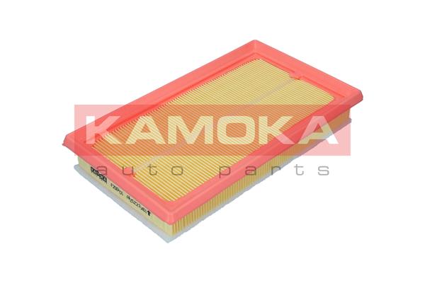 Air Filter (F256401)