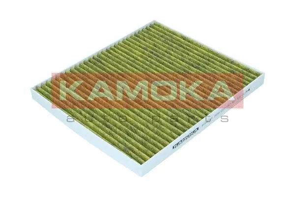 Filter, cabin air (6080135)