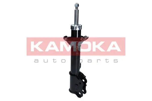 Shock Absorber (2001041)