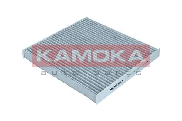 Filter, cabin air (F515501)