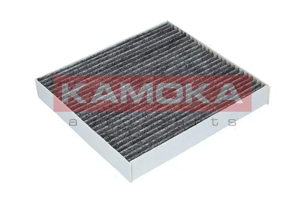 Filter, cabin air (F509901)