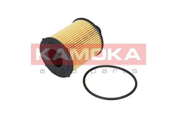 Oil Filter (F111501)