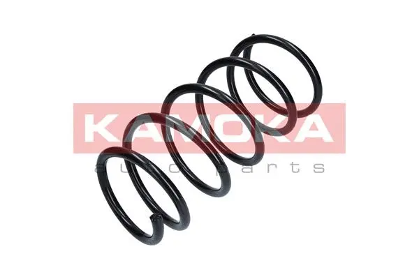 Suspension Spring (2110048)