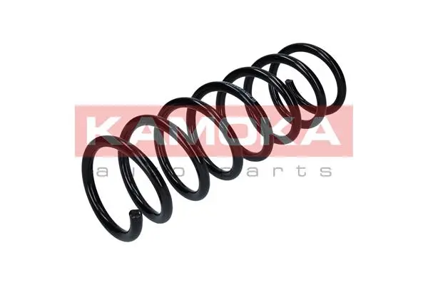 Suspension Spring (2120154)