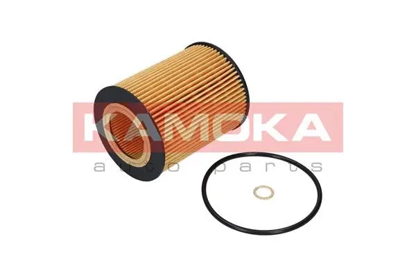 Oil Filter (F107201)