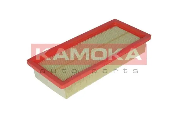 Air Filter (F204601)