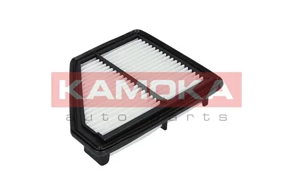Air Filter (F225601)