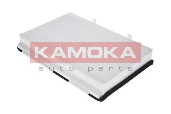 Filter, cabin air (F406801)
