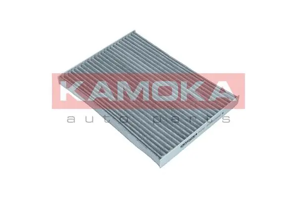 Filter, cabin air (F512101)