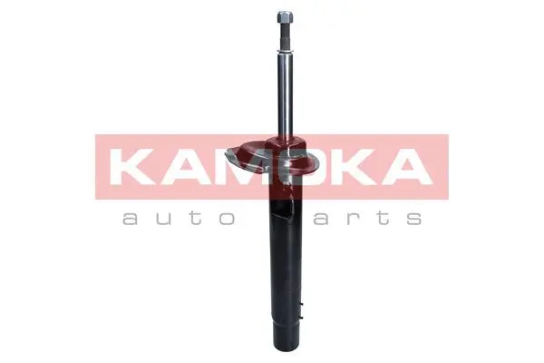 Shock Absorber (2000383)