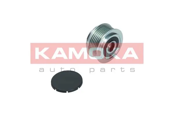 Alternator Freewheel Clutch