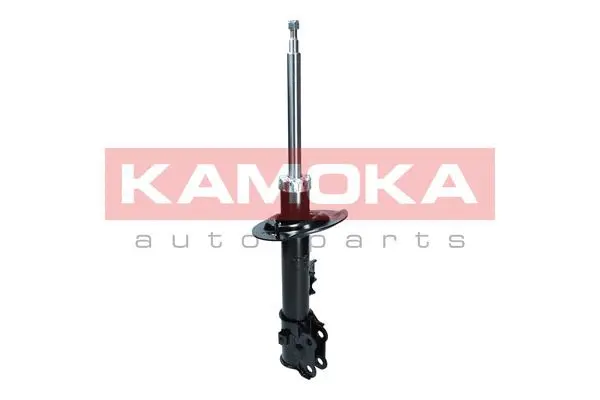 Shock Absorber (2000564)