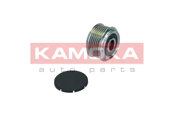 Alternator Freewheel Clutch