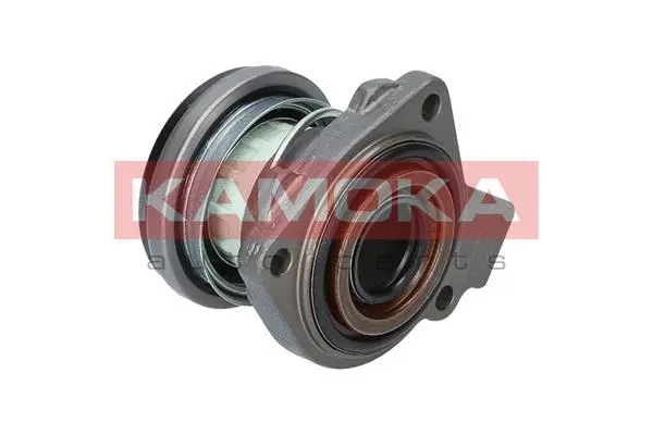 Central Slave Cylinder, clutch
