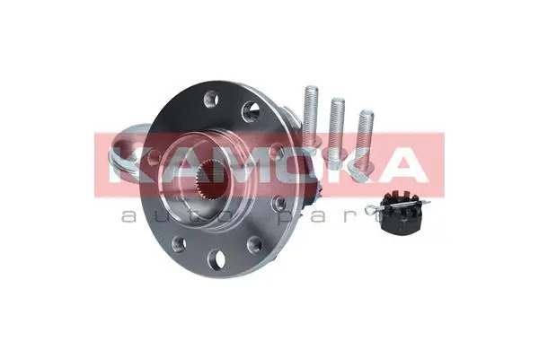 Wheel Bearing Kit (5500059)