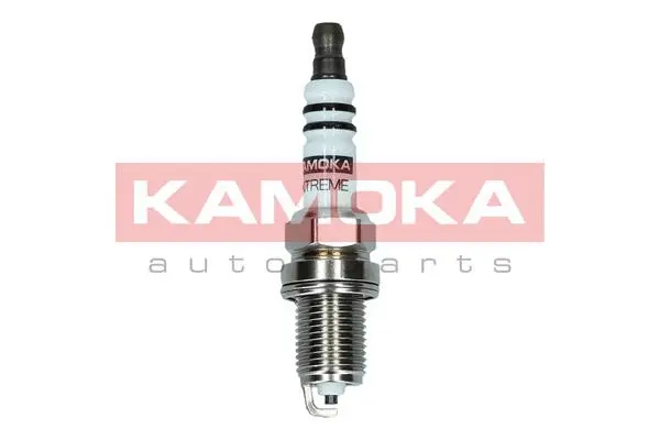 Spark Plug (7090515)