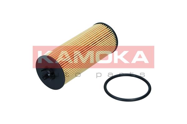 Oil Filter (F122801)