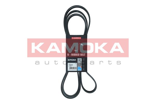V-Ribbed Belt (7016215)