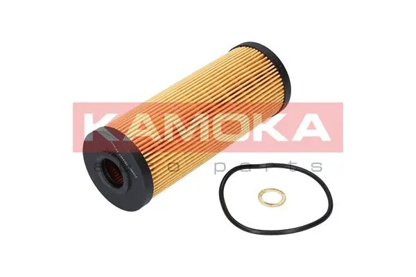Oil Filter (F108601)