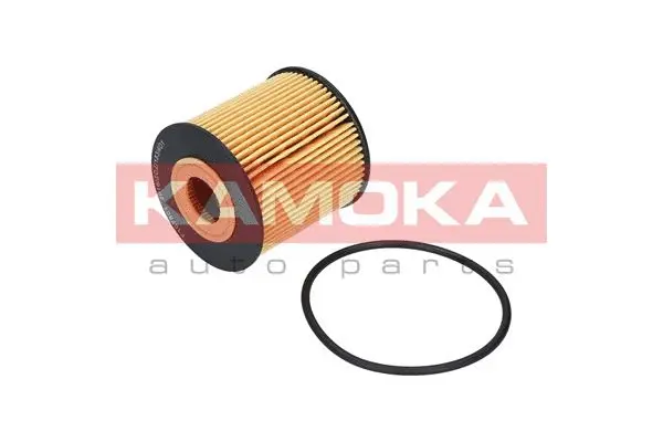 Oil Filter (F107801)