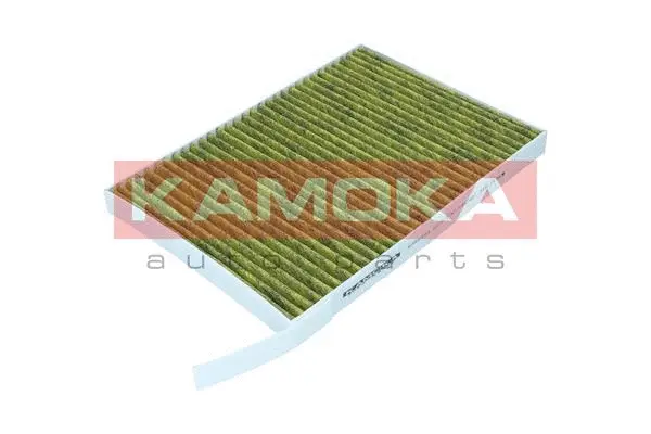 Filter, cabin air (6080164)