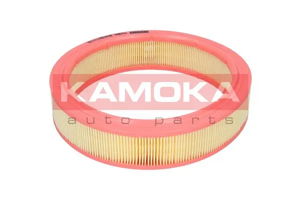 Air Filter (F210901)