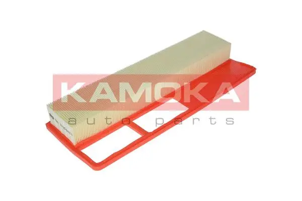 Air Filter (F224401)