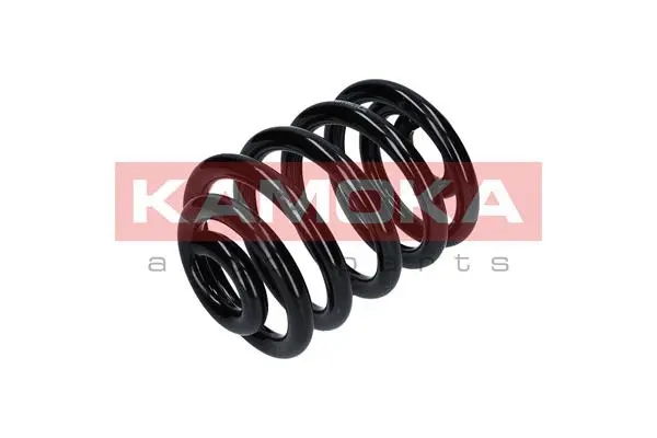 Suspension Spring (2120290)