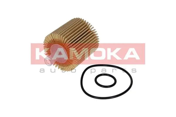 Oil Filter (F112201)