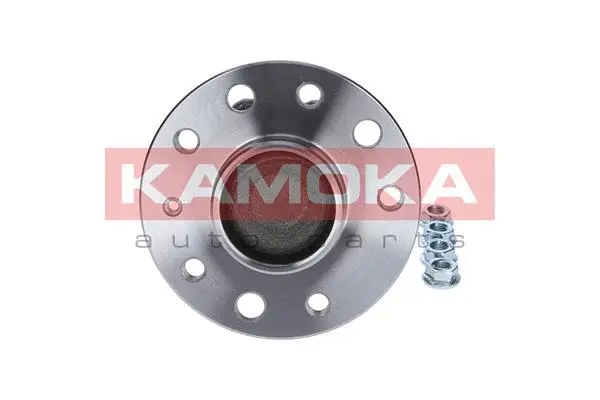 Wheel Bearing Kit (5500077)