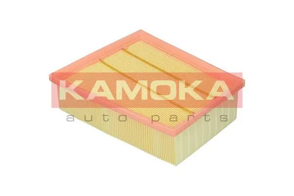 Air Filter (F248201)