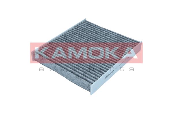 Filter, cabin air (F521701)
