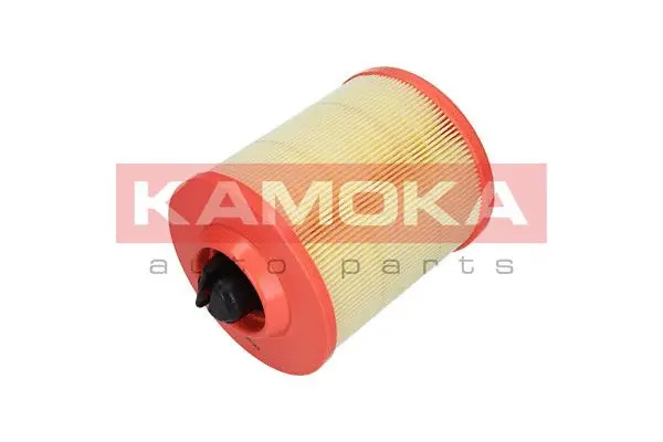 Air Filter (F237101)
