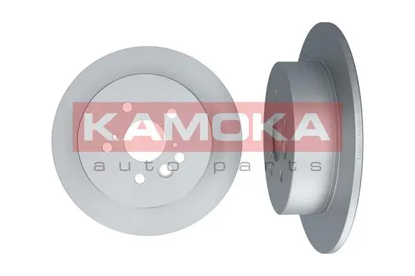 Brake Disc (1031090)